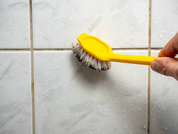 Best Mold Cleaning Services  in Sheldon, IA