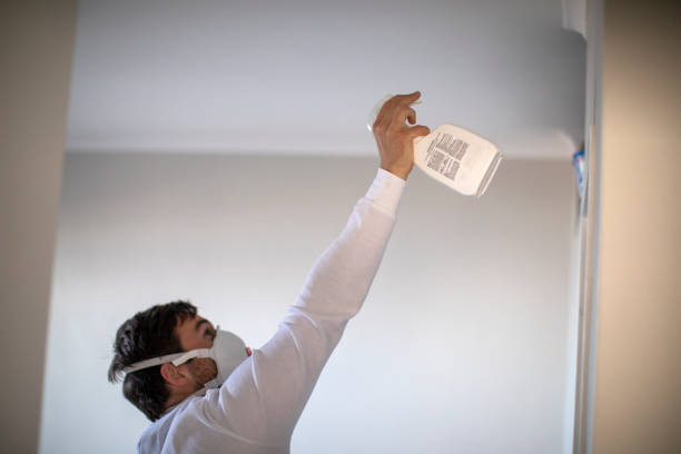 Best Residential Mold Removal  in Sheldon, IA